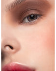 Provg Basic Eyeshadow Matt 089 Bitter Chocolate