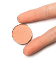 Provg Basic Eyeshadow Satin + Mica 076 Mango