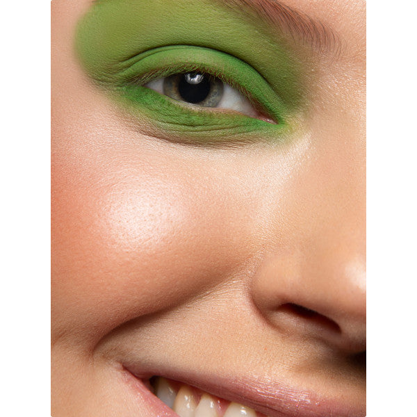 Provg Basic Eyeshadow Matt 097 Light Green