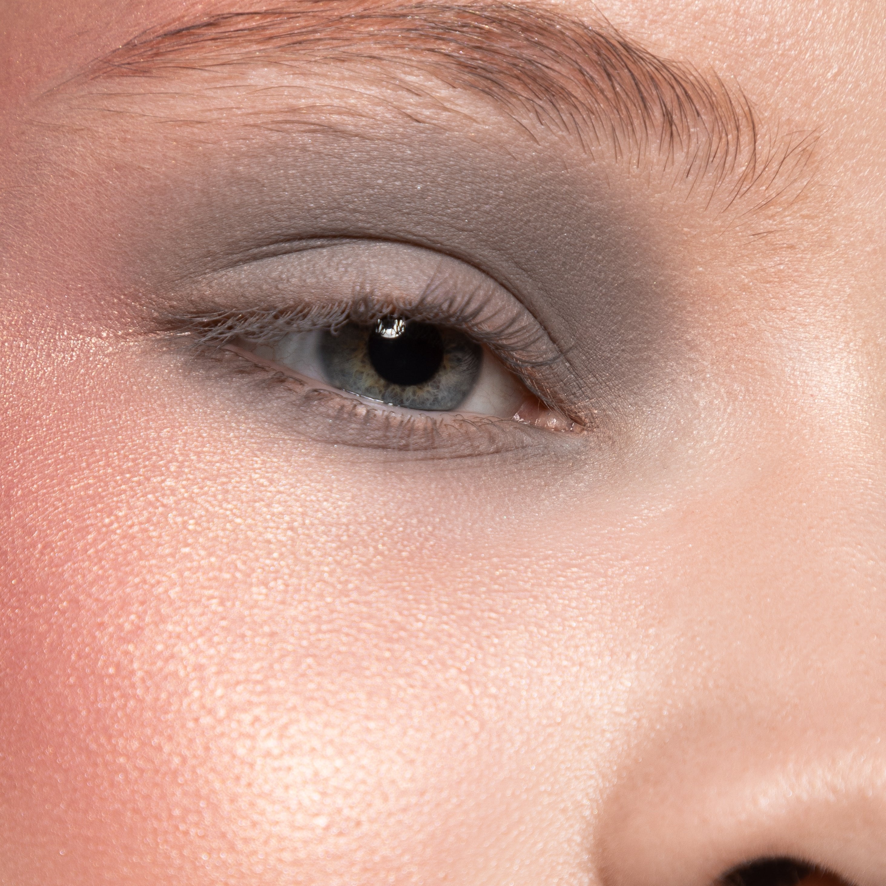 Provg Eyeshadow Basic Matt 019  Light Gray