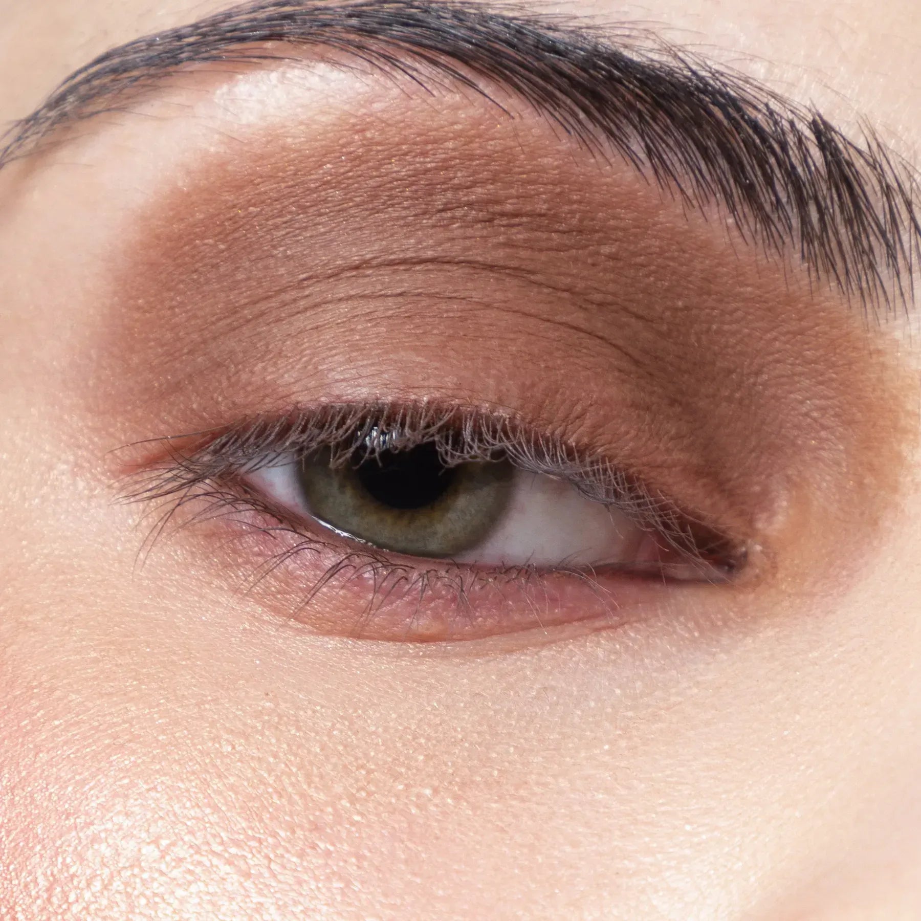 Provg Eyeshadow Basic Matt 052